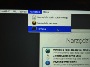 Narzędzia > Terminal